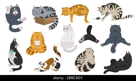 Cartoon cat characters collection. Different cat`s poses, yoga and emotions set. Flat color simple style design. Vector illustration Stock Vector